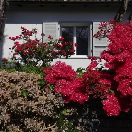 Residenza Paradiso Minusio